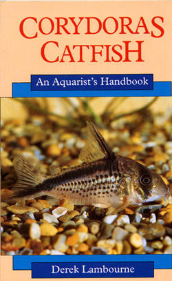 Corydoras Catfish An Aquarists handbook