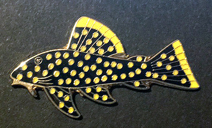 Catfish Brooch - Baryancistrus xanthellus