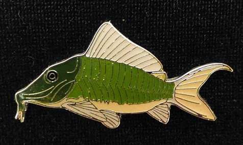 Catfish brooch - Brochis multiradiatus