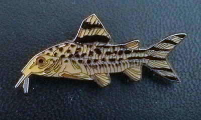 Catfish Brooch - Brochis robineae