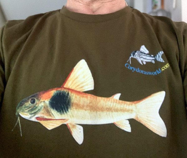 Printed Tee shirt - Corydoras maclurei