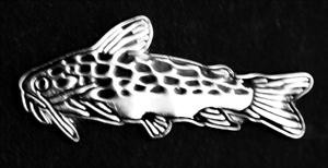 Catfish Brooch - Cenotromochlus perugiae