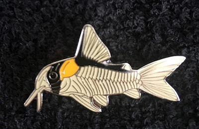 Catfish Brooch - Hoplisoma adolfoi