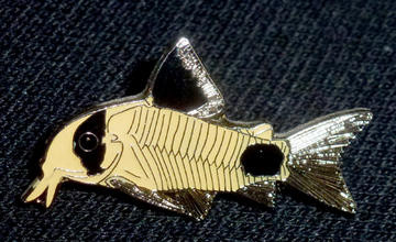 Catfish Brooch - Hoplisoma panda