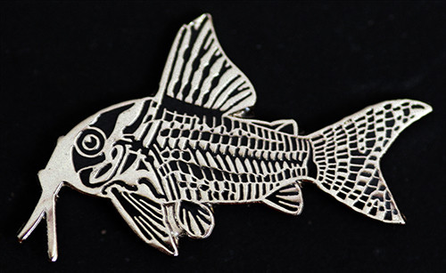 Catfish brooch - Hoplisoma schwartzi