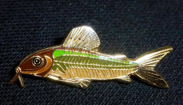 Catfish Brooch - Osteogaster sp CW009