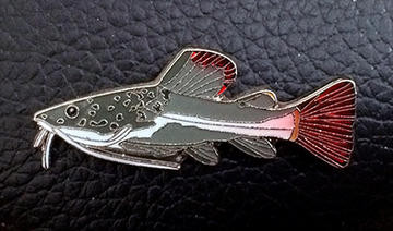 Catfish Brooch - Phractocephalus hemioliopterus