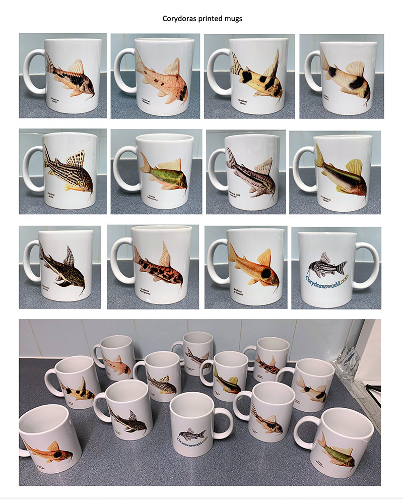 Printed mugs - Corydoras sets