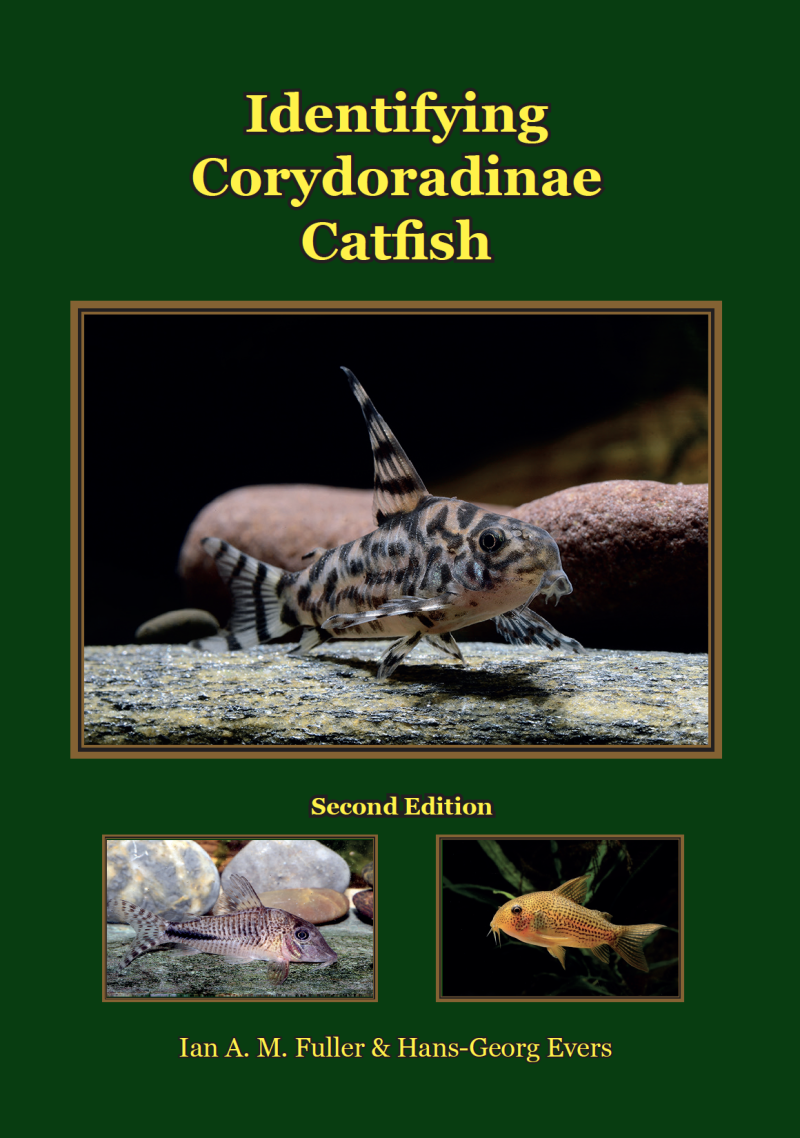 Identifying Corydoradinae Catfishes 'Second edition'