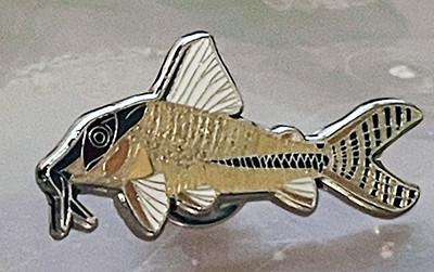 Catfish Brooch - Corydoras fulleri