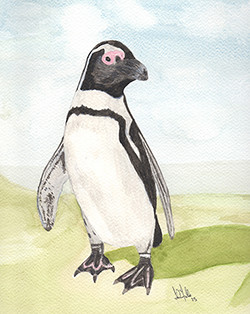 Penguin - Canvas watercolour print